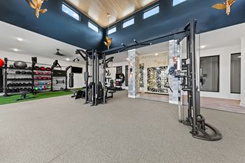 Gym with variety of equipment