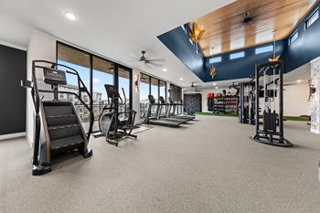 Gym with cardio equipments