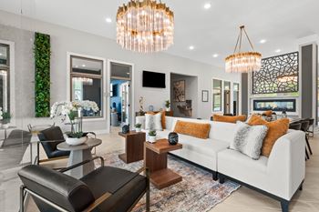 Lavish living room