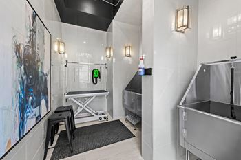 Modern pet spa