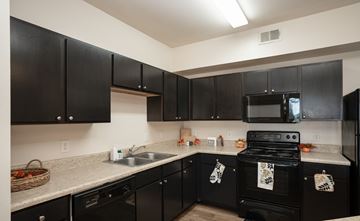 Los Fresnos apartment for rent - A kitchen with black cabinets and appliances.
