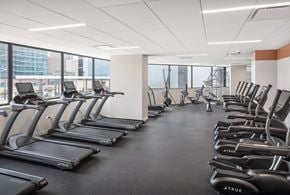 Chicago apartment for rent - a gym with rows of cardio equipment and large windows