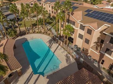 Las Vegas apartment for rent - A swimming pool surrounded by palm trees and apartment buildings.