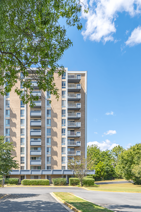Silver Spring apartment for rent - A tall residential building with a green tree in the foreground.