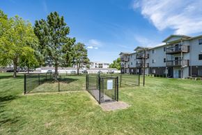 Sioux Falls apartment for rent - A playground with a swing set in the middle of a grassy area with trees and apartment buildings in the background.