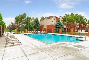 Bellevue apartment for rent - the swimming pool at our apartments