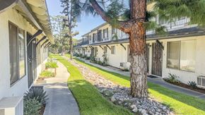 Temple City multi-family for rent - A tree stands in a grassy area between two buildings.