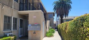 Arcadia multi-family for rent - A building with a palm tree in front of it.