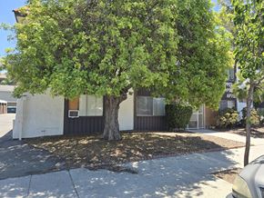 Bellflower multi-family for rent - A tree in front of a house.