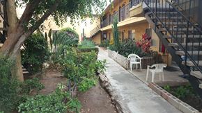 Montebello multi-family for rent - A garden with a white chair and a tree in the foreground.