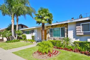 Downey multi-family for rent - A white house with a palm tree in front.