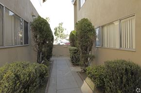 Bellflower multi-family for rent - A narrow alley between two buildings with bushes on the sides.