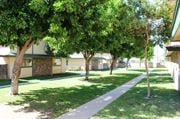 Pomona apartment for rent - A tree-lined walkway in front of apartment buildings.