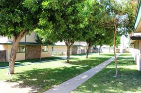 Pomona apartment for rent - A tree-lined walkway in front of apartment buildings.