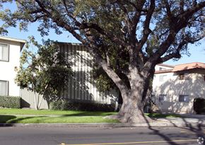 Whittier multi-family for rent - A tree in front of a building with a white facade.