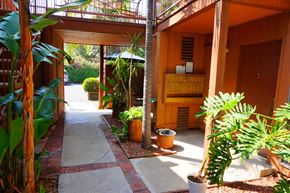 Toluca Lake multi-family for rent - A pathway with a tree and a plant on the right.