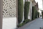 Bellflower multi-family for rent - A row of green bushes are trimmed to look like a wall.