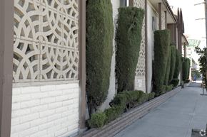 Bellflower multi-family for rent - A row of green bushes are trimmed to look like a wall.