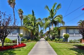 Downey apartment for rent - A residential street lined with palm trees and houses.