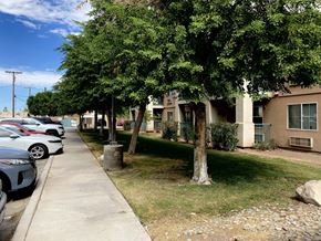El Centro multi-family for rent - A tree in a grassy area in front of a building.