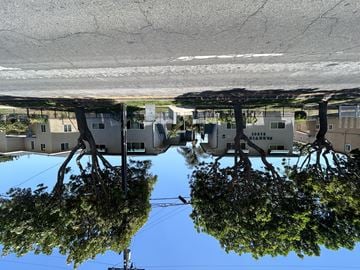 Carson multi-family for rent - A reflection of houses and trees in a body of water.