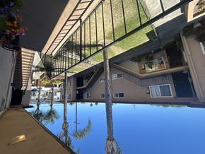 Wilmington multi-family for rent - A house with a palm tree reflected in a pool.
