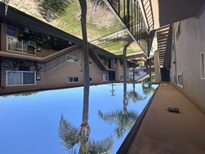 Wilmington multi-family for rent - A view of a pool with a reflection of a palm tree and a building.