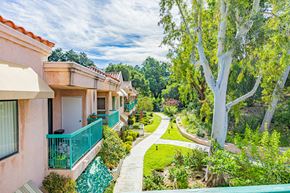Santa Clarita multi-family for rent - A tree in a yard with apartment buildings in the background.