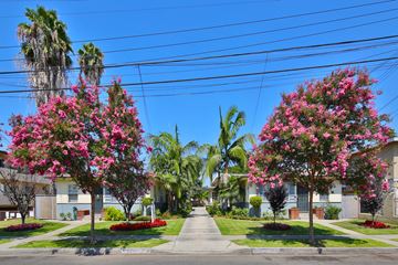 Downey apartment for rent - A street view of a residential area with houses, trees, and a clear blue sky.
