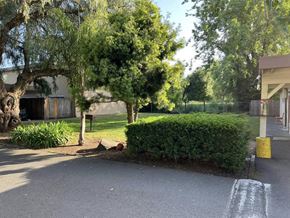 Cotati multi-family for rent - A tree in front of a building with a sign on a post.