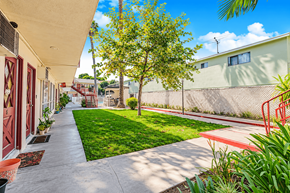 El Monte multi-family for rent - A tree in a yard next to a building.