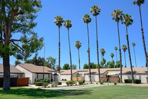 Hemet apartment for rent - a row of houses with palm trees in the background at Villa Hemet, Hemet