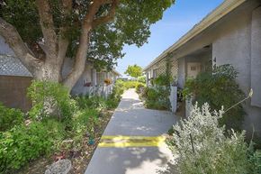Hemet multi-family for rent - A tree-lined walkway in a residential area.