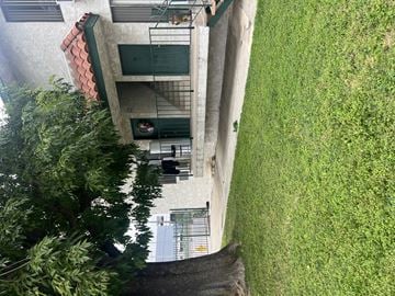 Sylmar multi-family for rent - A green tree is in front of a building.