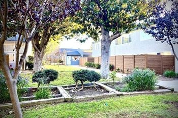 A garden with trees and shrubs in front of a house