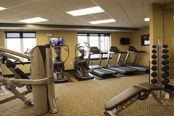 Free weights