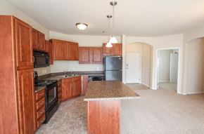 Lakeville apartment for rent - a kitchen with wood cabinets and black appliances