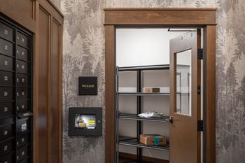 Luxerone package room