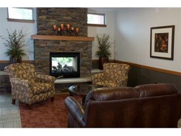 Rosemount apartment for rent - a living room with leather furniture and a fireplace