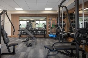 Savage apartment for rent - Fitness center with weight equipment and mirrors at The Murphy Apartments, Minnesota, 55372