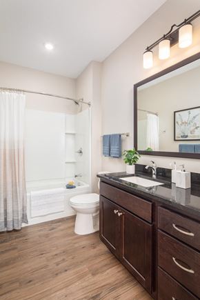 St. Paul apartment for rent - View of spacious, modern bathroom  at The Whitley, St. Paul