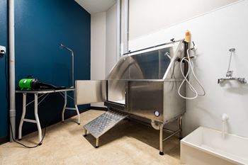 Pet washing facility