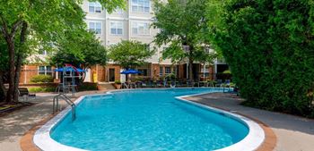 Gorgeous pool