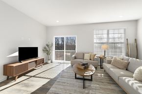 Halethorpe townhouse for rent - Living Room With TV at Forge Overlook, Halethorpe Maryland