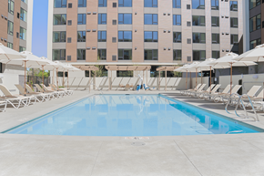 Davis apartment for rent - A large swimming pool surrounded by sun loungers and umbrellas.