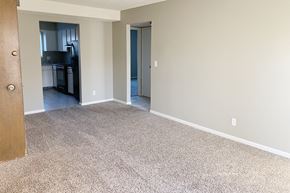 Bellevue apartment for rent - an empty living room with carpet and a kitchen