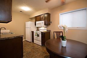 Bellevue triplex for rent - a kitchen with a table and a refrigerator and a sink