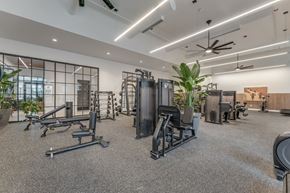 Bentonville apartment for rent - A gym with a variety of equipment including treadmills, weights, and exercise machines.