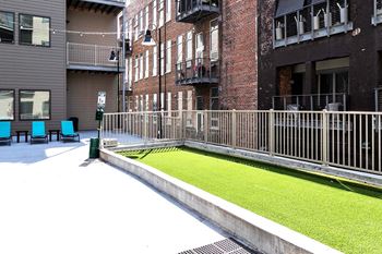 Outdoor grass pad for your furry friends