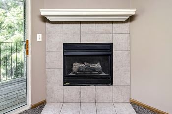Gas fireplace